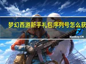梦幻西游新手礼包序列号怎么获得（梦幻西游新手礼包序列号）