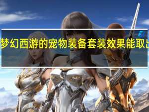 梦幻西游的宠物装备套装效果能取出来吗