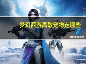 梦幻西游高敏宠物走哪些