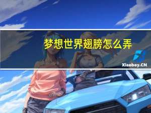 梦想世界翅膀怎么弄