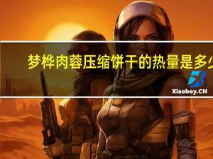 梦桦肉蓉压缩饼干的热量是多少