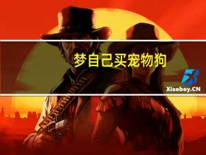 梦自己买宠物狗
