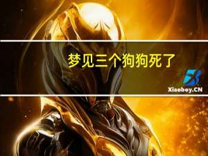 梦见三个狗狗死了