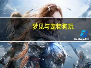 梦见与宠物狗玩