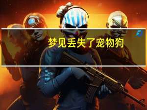 梦见丢失了宠物狗
