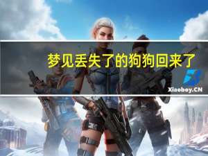 梦见丢失了的狗狗回来了