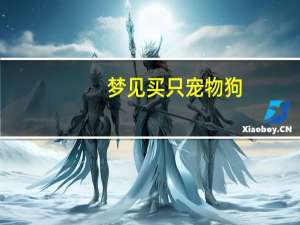 梦见买只宠物狗