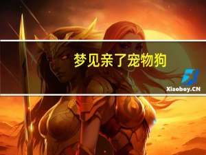 梦见亲了宠物狗