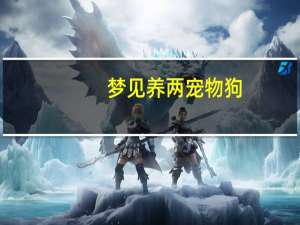 梦见养两宠物狗