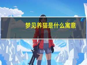 梦见养猫是什么寓意
