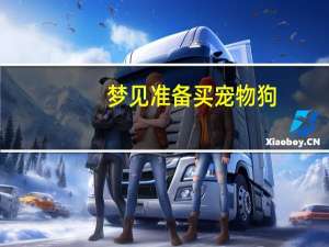 梦见准备买宠物狗