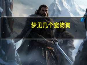 梦见几个宠物狗
