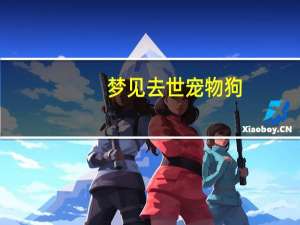 梦见去世宠物狗