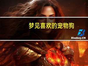 梦见喜欢的宠物狗