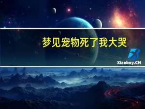 梦见宠物死了我大哭