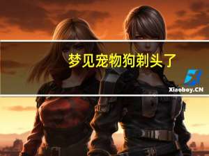 梦见宠物狗剃头了