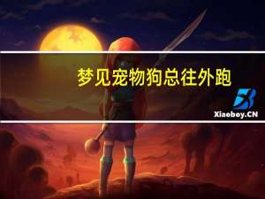 梦见宠物狗总往外跑