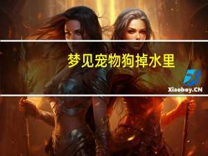 梦见宠物狗掉水里