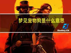 梦见宠物狗是什么意思