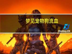 梦见宠物狗流血