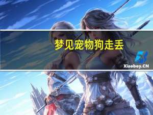 梦见宠物狗走丢