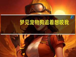 梦见宠物狗追着想咬我