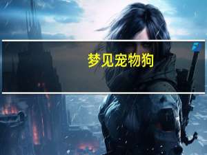 梦见宠物狗