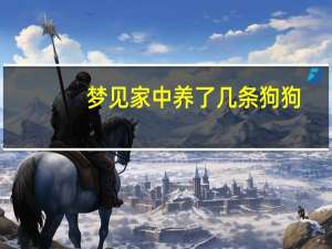 梦见家中养了几条狗狗