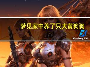 梦见家中养了只大黄狗狗