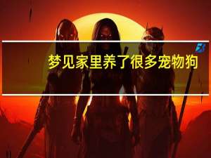 梦见家里养了很多宠物狗