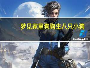 梦见家里狗狗生八只小狗