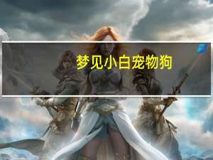 梦见小白宠物狗