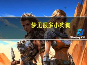 梦见很多小狗狗