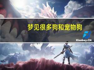梦见很多狗和宠物狗
