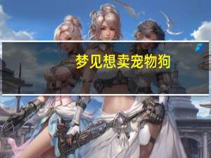 梦见想卖宠物狗