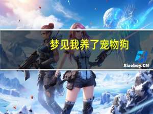 梦见我养了宠物狗