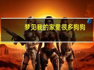 梦见我的家里很多狗狗