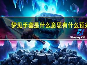 梦见手套是什么意思有什么预兆（白手套是什么意思）