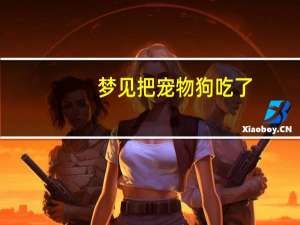 梦见把宠物狗吃了