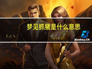 梦见抓猪是什么意思