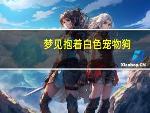 梦见抱着白色宠物狗