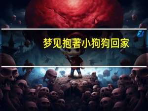 梦见抱著小狗狗回家