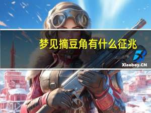 梦见摘豆角有什么征兆