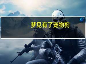梦见有了宠物狗