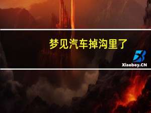 梦见汽车掉沟里了