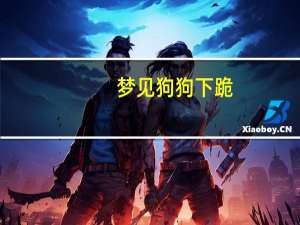 梦见狗狗下跪