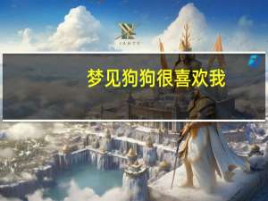 梦见狗狗很喜欢我