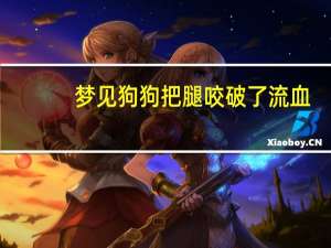 梦见狗狗把腿咬破了流血