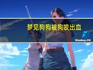 梦见狗狗被狗咬出血