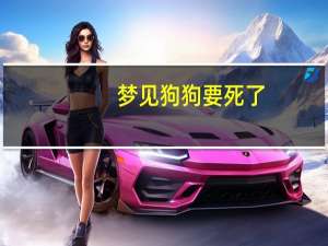 梦见狗狗要死了